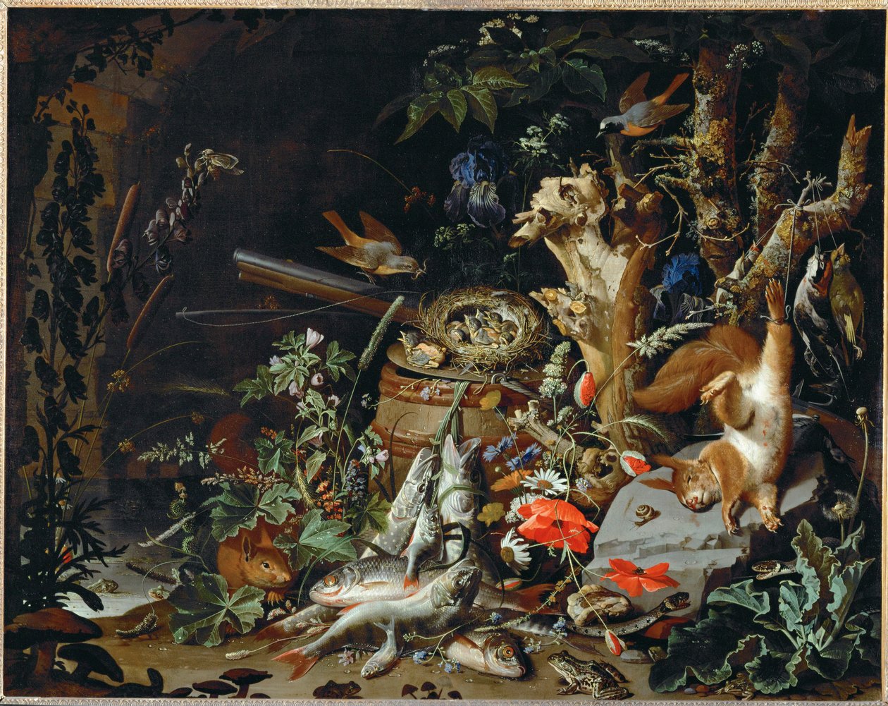 Le nid de pinsons - peces, reptiles y una ardilla muerta entre plantas y árboles ... de Abraham Mignon