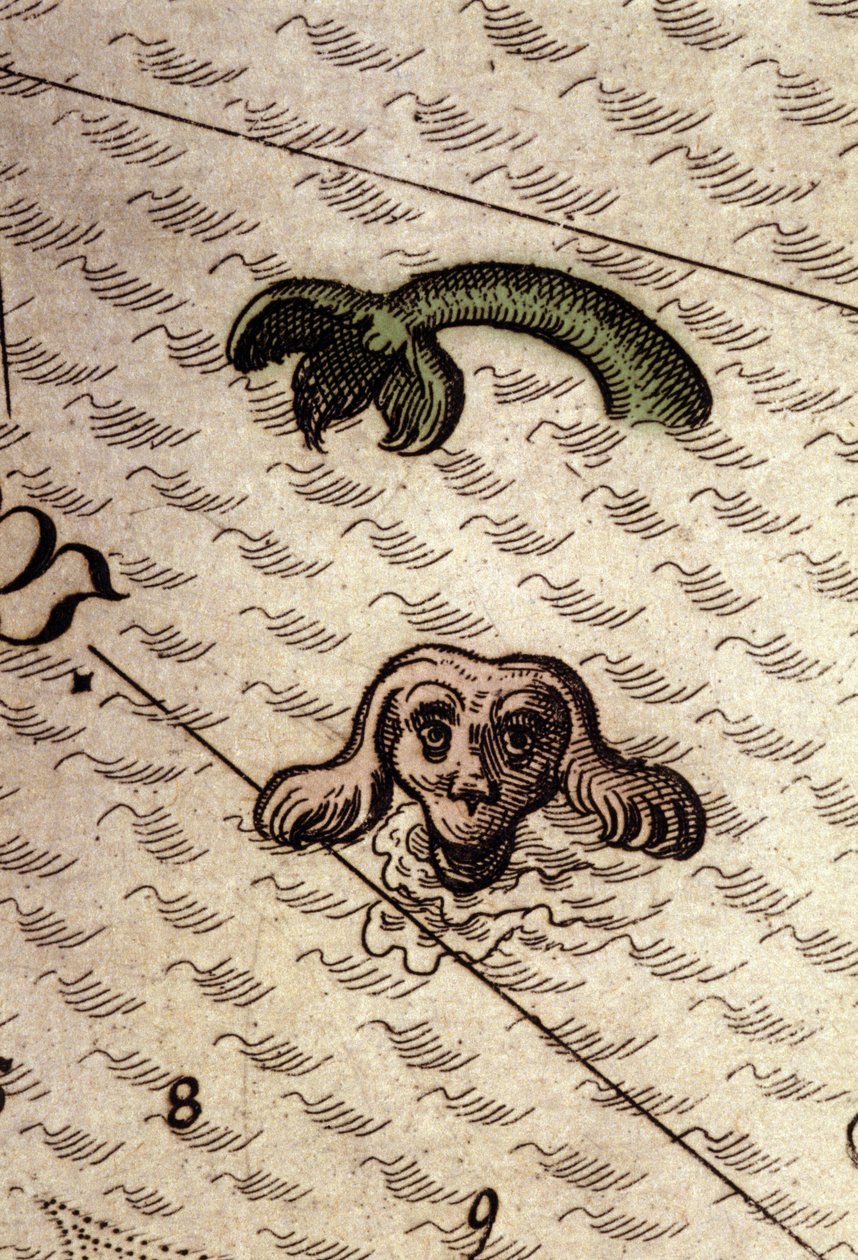 Un monstruo marino con cabeza de perro y cuerpo de pez. (detalle) de un mapa en “Theatrum Orbis Terrarum” por Abraham Ortelius, Amberes 1584. de Abraham Ortelius