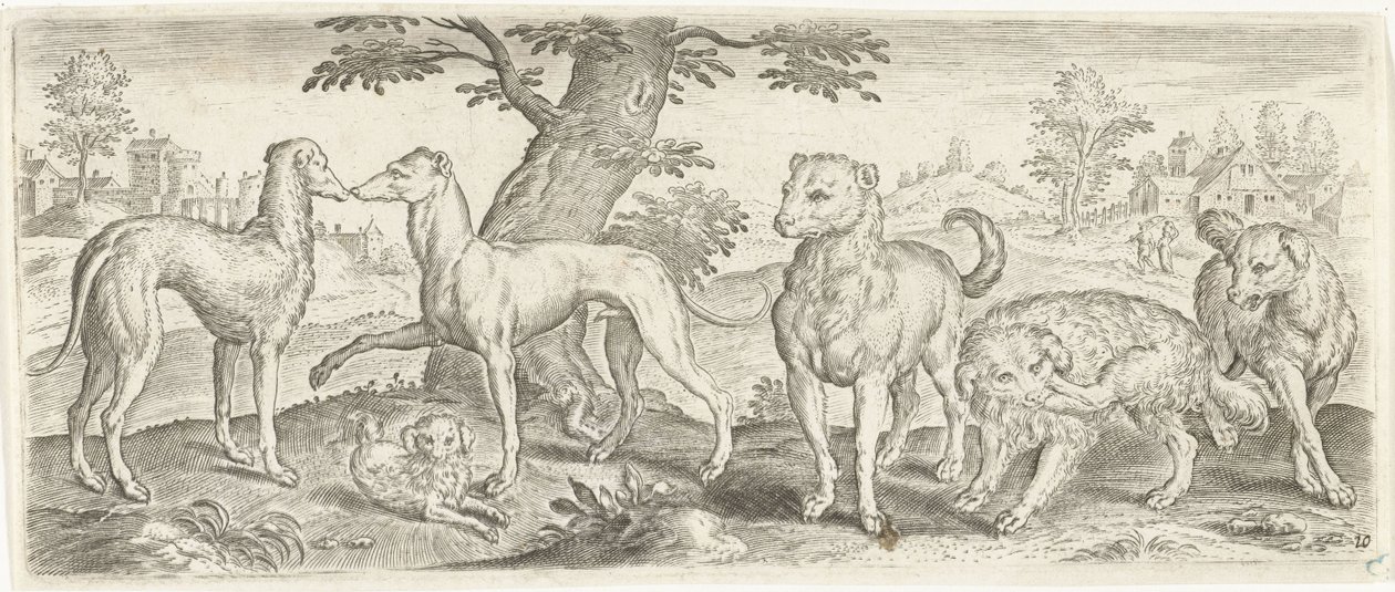 perros Animales (título de la serie) de Abraham de Bruyn (possibly)