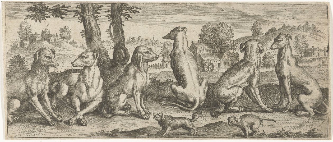 perros Animales (título de la serie) de Abraham de Bruyn (possibly)