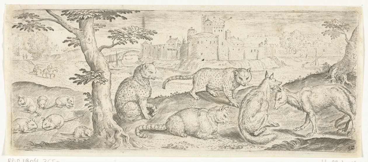 Ratas, gatos y zorros Animales (título de la serie) de Abraham de Bruyn (possibly)