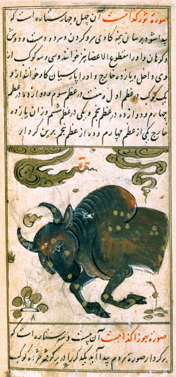 Constelaciones del zodiaco: Tauro, el toro, de Talim dar marifat i taqvuim, 1498 (903 Hijra) de Abu Jafar al Tabari