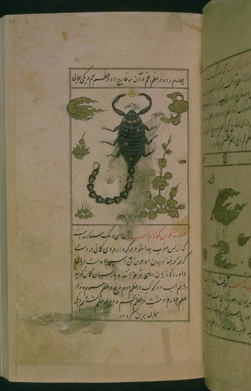 Constelaciones del zodiaco: Escorpio, el escorpión, de Talim dar marifat i taqvuim, 1498 (903 Hijra) de Abu Jafar al Tabari