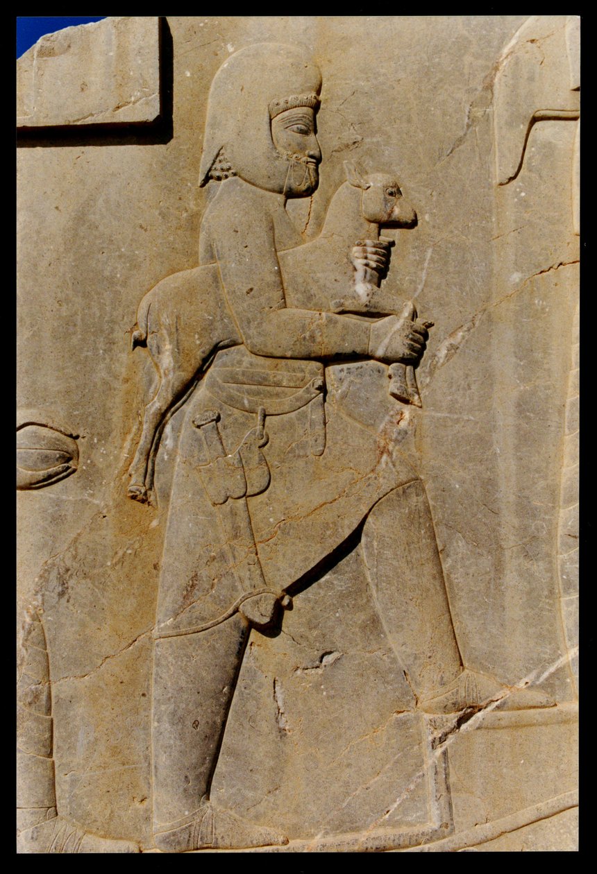 Un Medo llevando un cordero sacrificial por la escalera oriental del pórtico sur del palacio de Darío, c.485 a.C. de Achaemenid