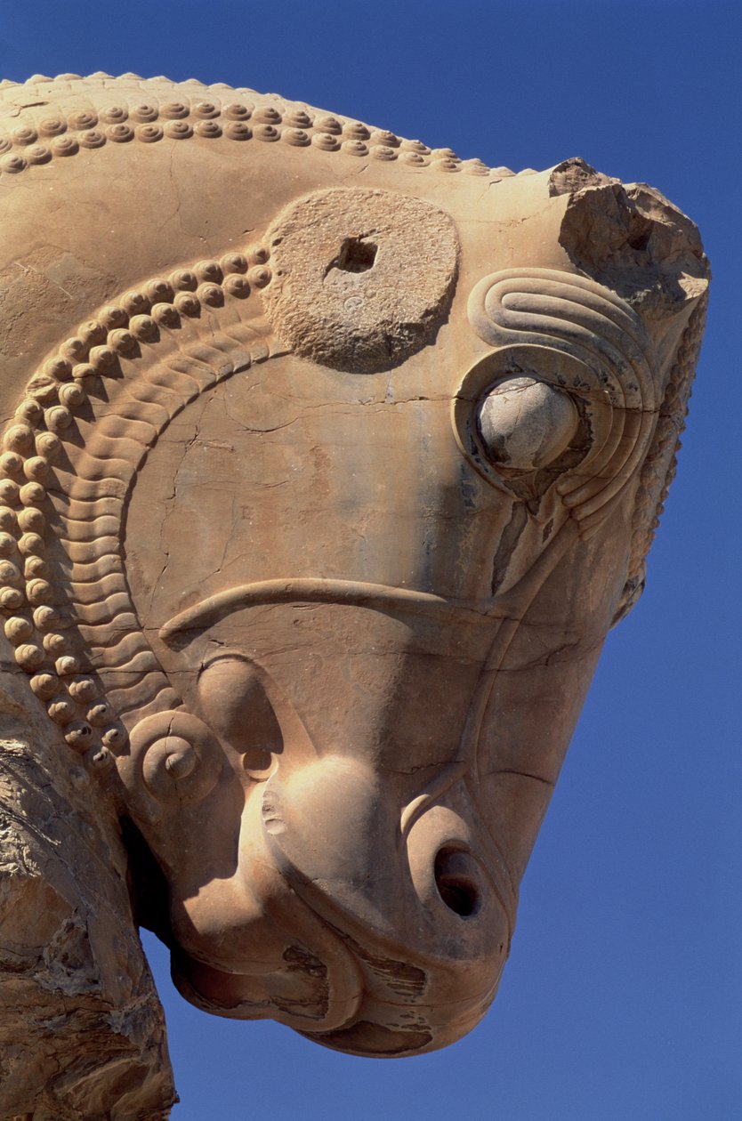 Cabeza de toro en el pórtico norte del Salón del Trono de Jerjes de Achaemenid