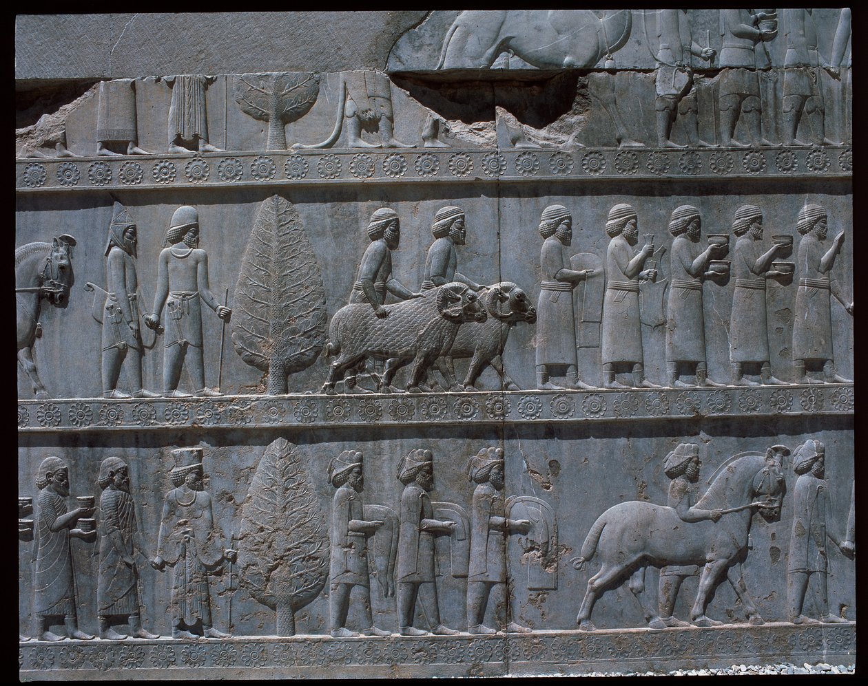 Vista de los relieves de las escaleras del este de Achaemenid