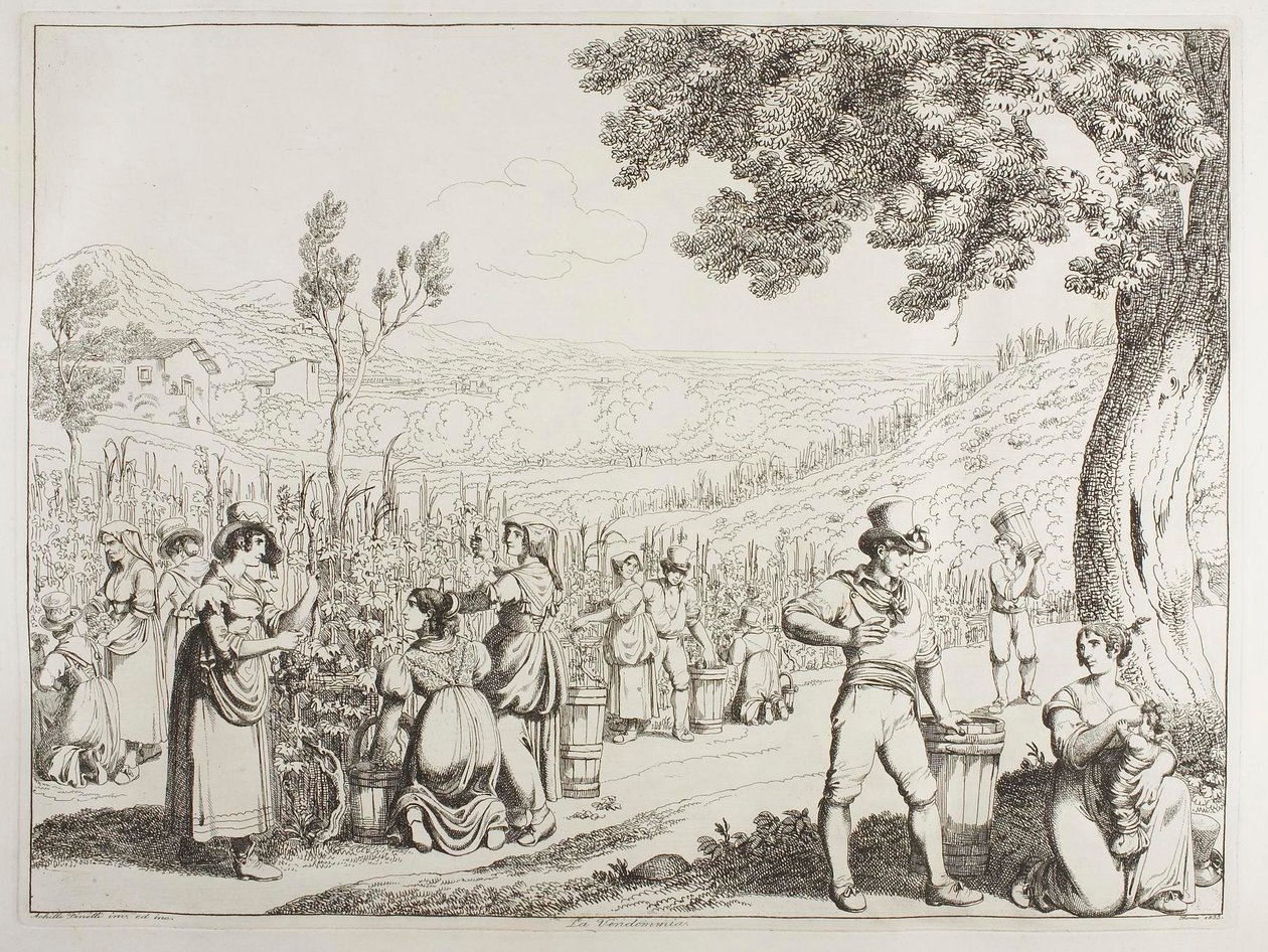 La vendimia de Achille Pinelli