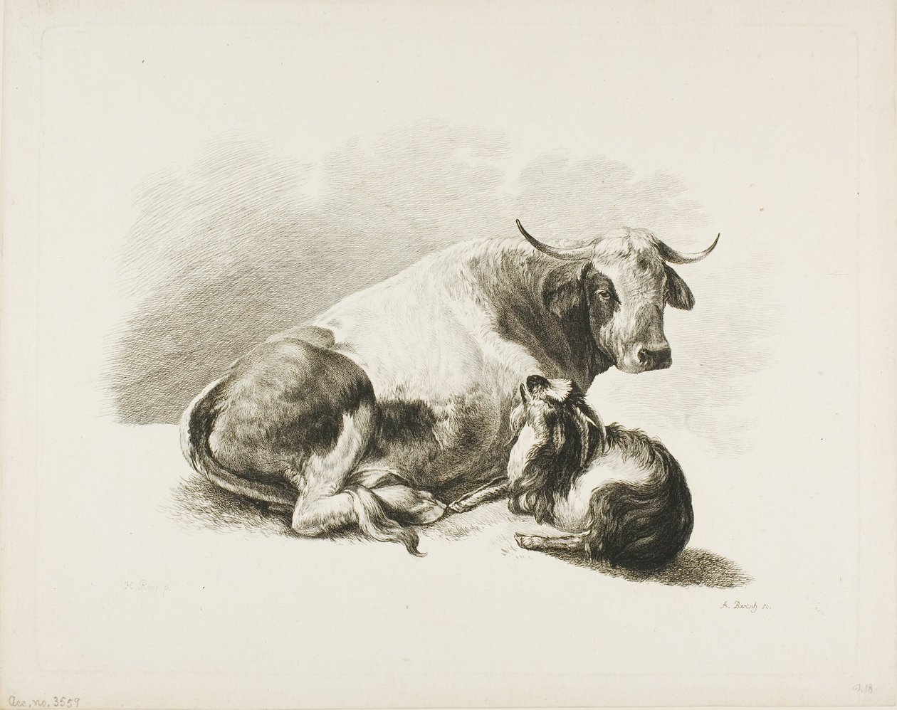 Pieza Animal de Adam von Bartsch
