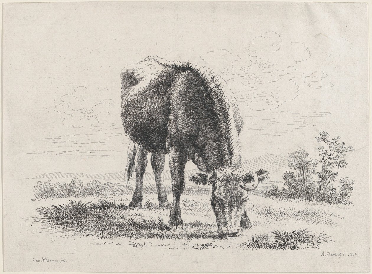 Vaca pastando de Adam von Bartsch