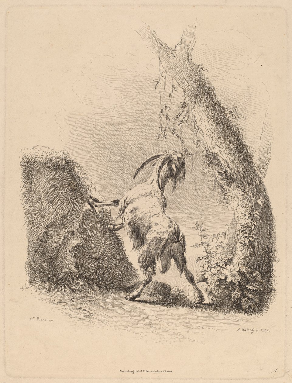 Cabra en un paisaje de Adam von Bartsch