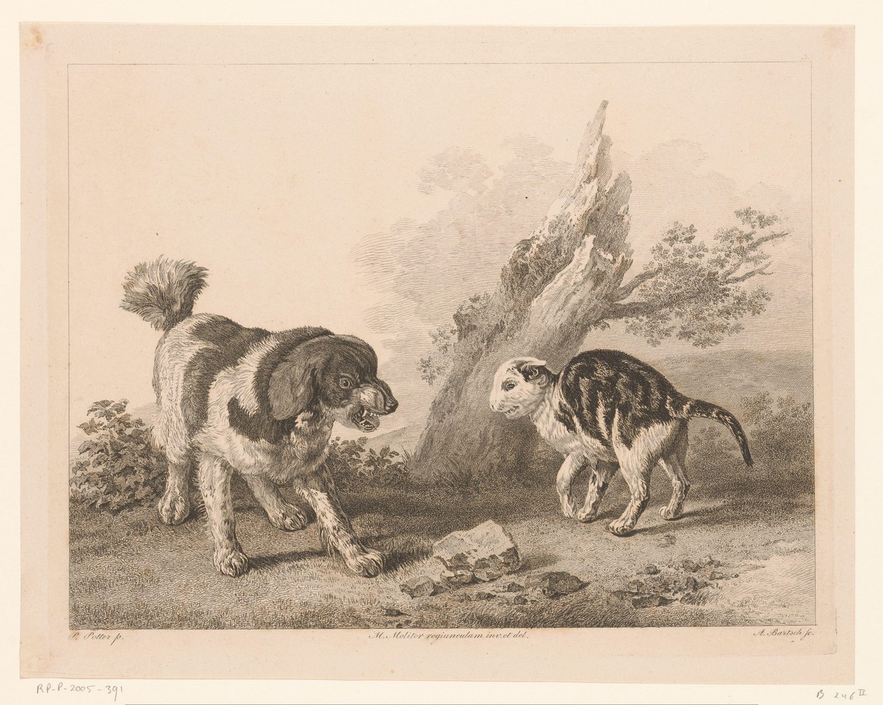 Perro y gato en posición de pelea uno contra el otro Animales según pinturas de maestros holandeses (título de la serie) Différens animaux graves d