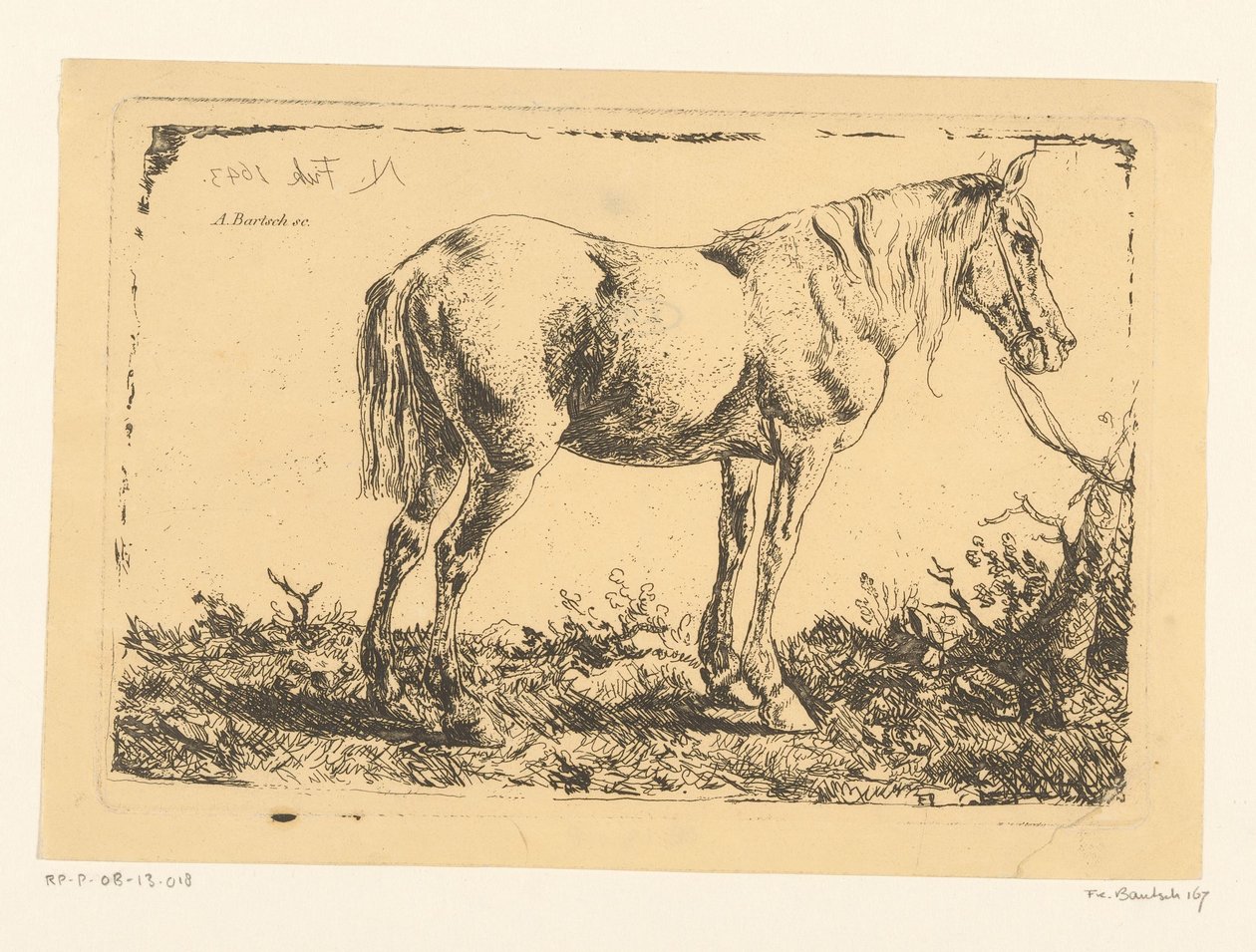 Caballo en un árbol de Adam von Bartsch