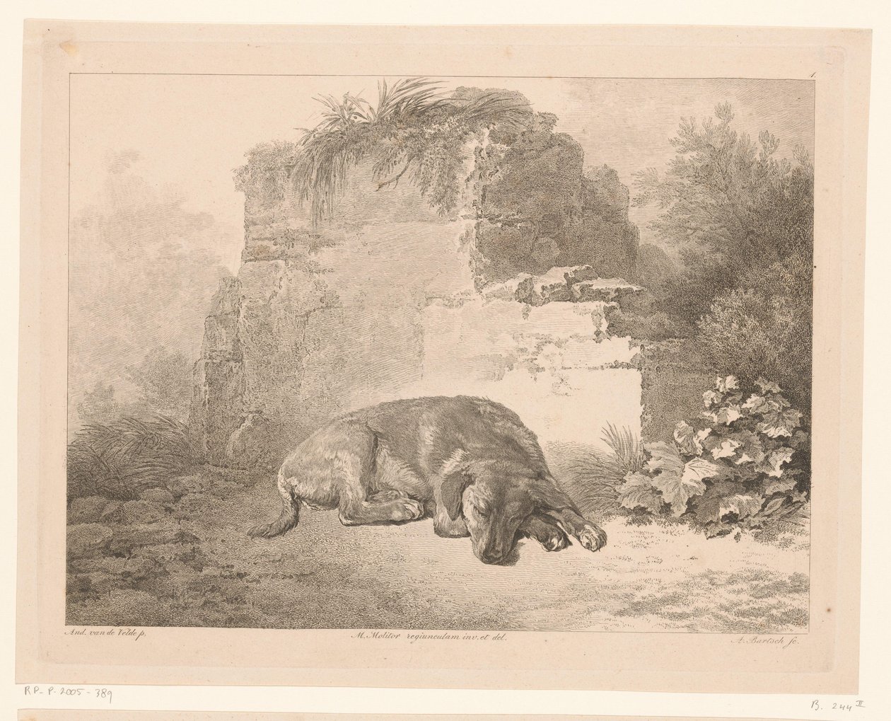 Perro durmiendo frente a una pared Animales según pinturas de maestros holandeses (título de la serie) Différens animaux graves d