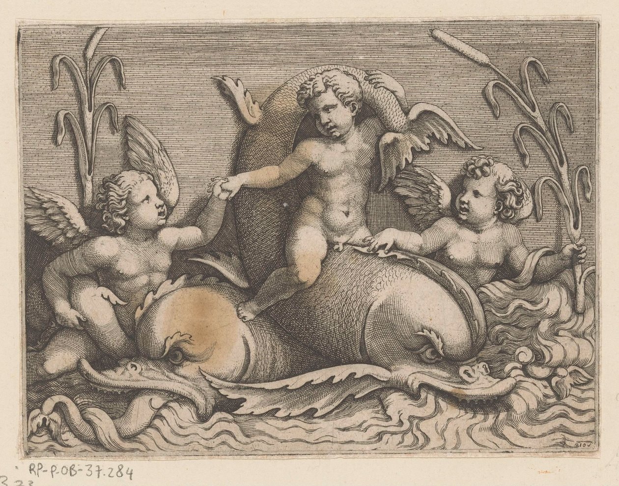 Tres amorcillos con delfines de Adamo Scultori