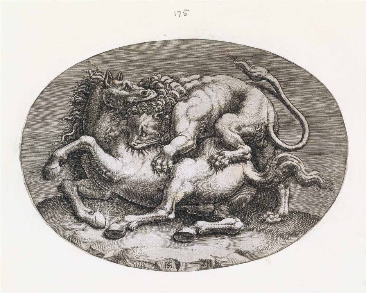 Speculum Romanae Magnificentiae: León atacando a un caballo de Adamo Scultori
