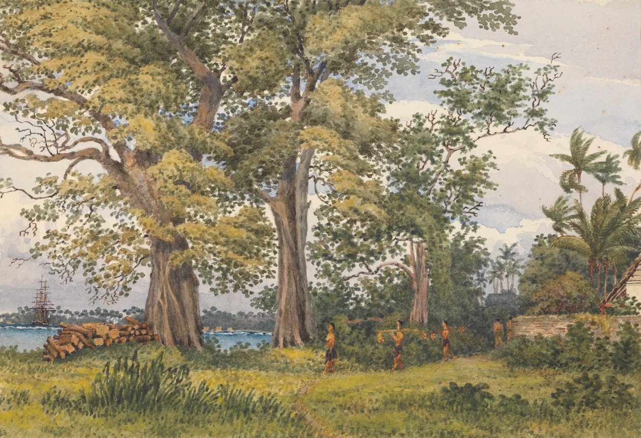 Bahía de Apia, Upolu, Islas de los Navegantes, [Samoa] desde la veranda de mi habitación de enfermo, 6 de noviembre de 1849". de Admiral Sir Edward Gennys Fanshawe
