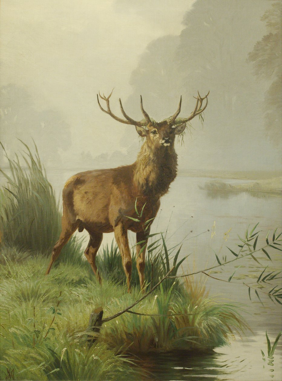 Ciervo rojo de Adolf Mackeprang