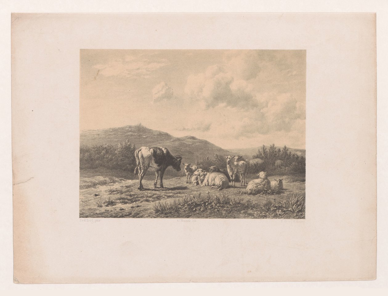 paisaje con ganado de Adolf Carel Nunnink