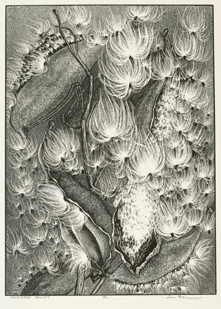 Ballet de Algodoncillo de Adolf Ernst Meissner