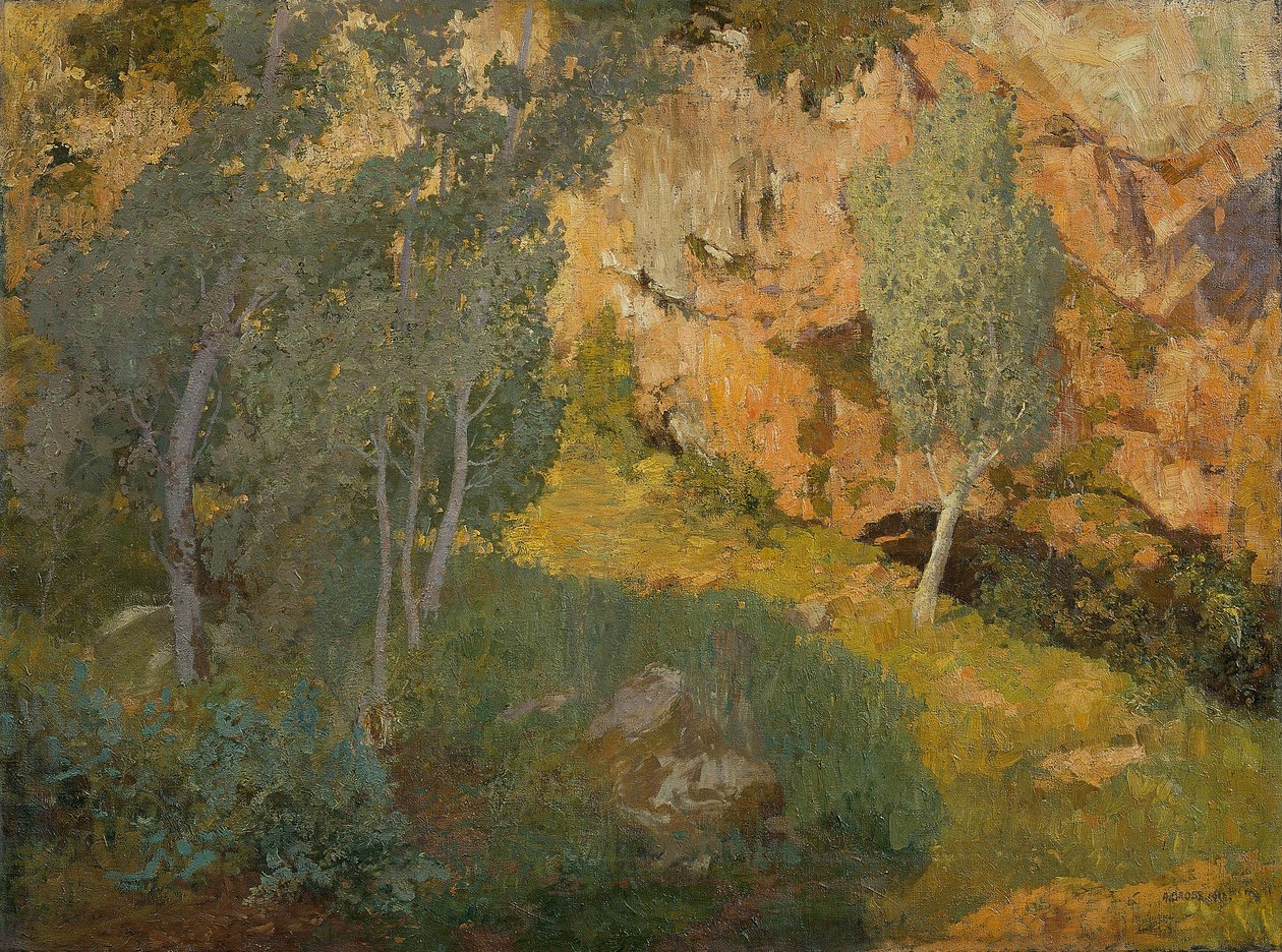 Valle rocoso soleado de Adolf Gross
