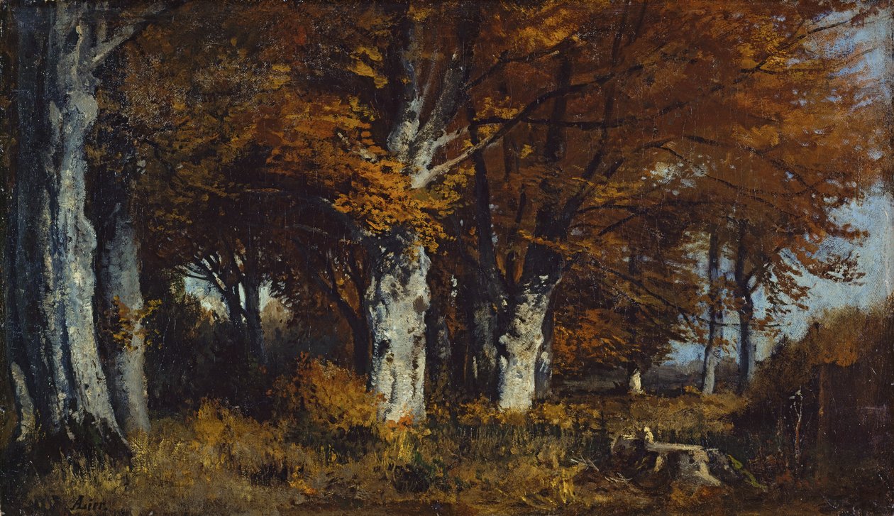 Bosque de hayas en otoño de Adolf Heinrich Lier