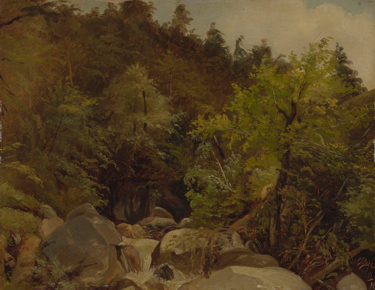 Cascada cerca de Ohlstadt de Adolf Heinrich Lier