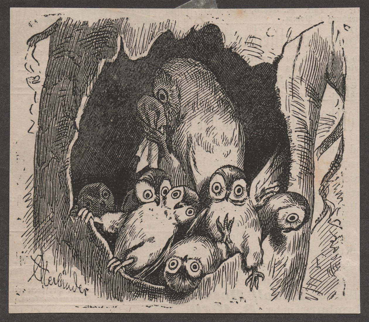 Búho con cachorros, c. 1890 (quickpress print) de Adolf Oberländer