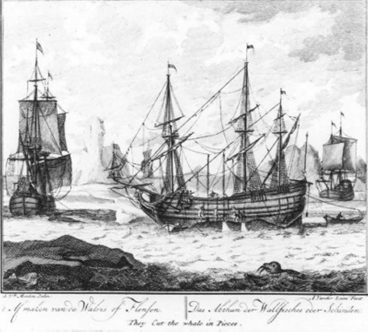 «La matanza de la ballena o el despiece» (n.º 8 de la serie sobre la caza de ballenas) de Adolf van der Laan