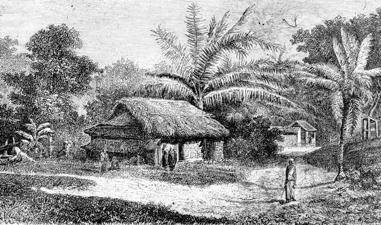 Aldea en el valle de Colombo, Sri Lanka (grabado) de Adolph Hermann & Robert (after) Schlagintweit