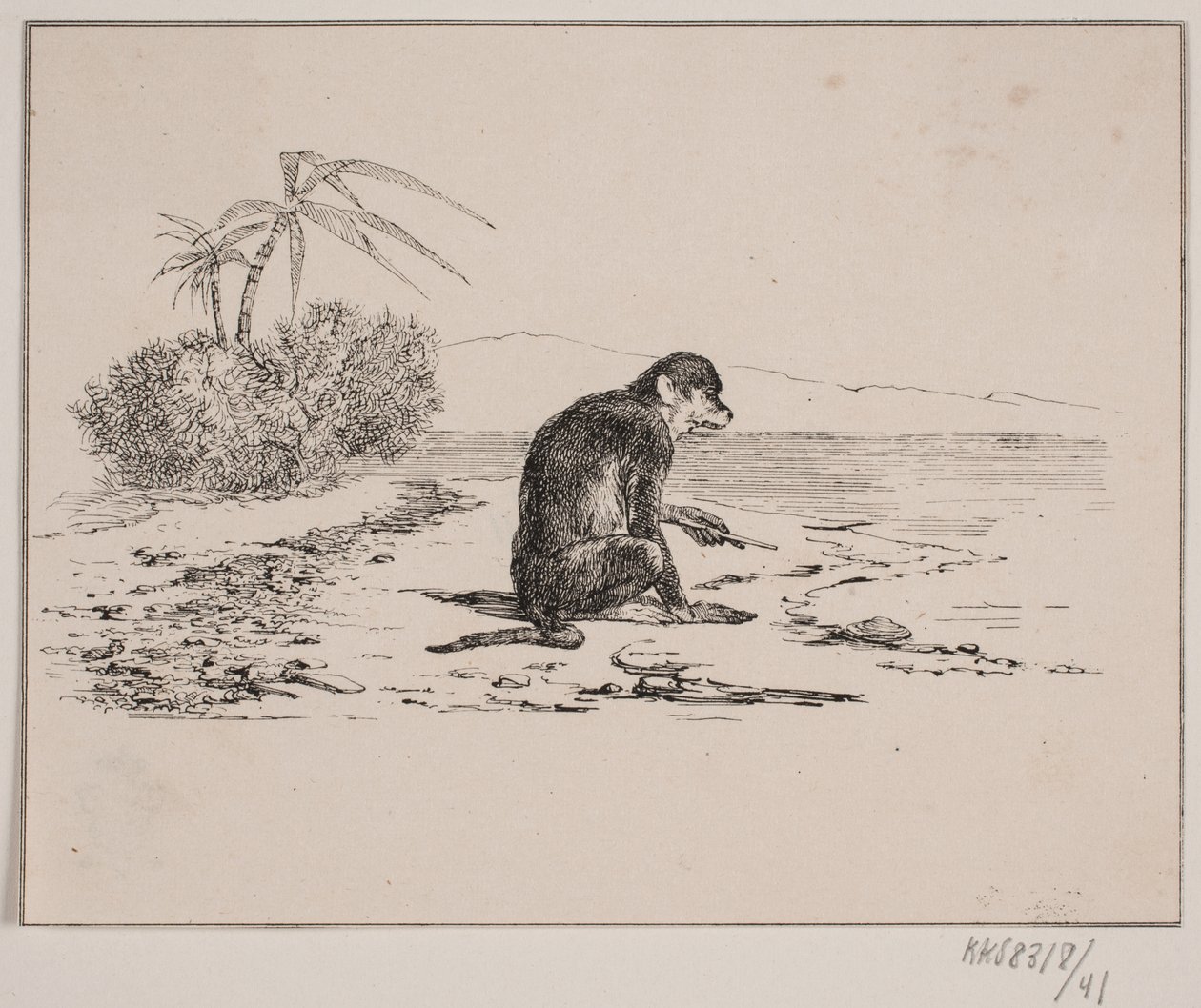 Abekatten de Johan Adolph Kittendorff