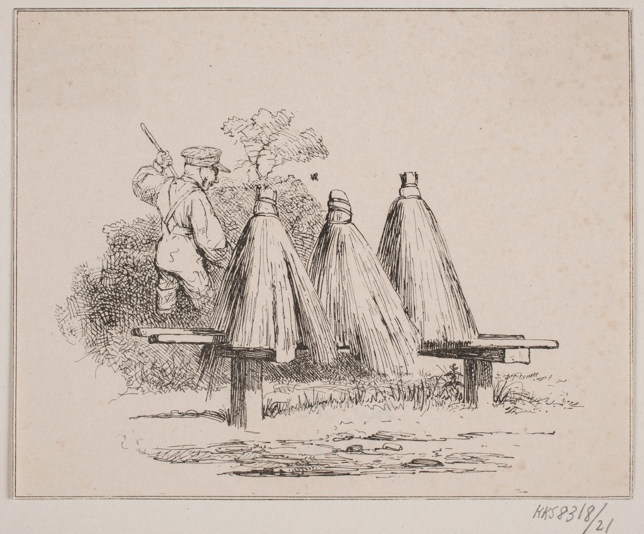 Abeja de Johan Adolph Kittendorff