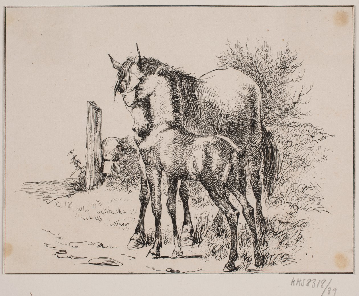 El caballo y el potro de Johan Adolph Kittendorff