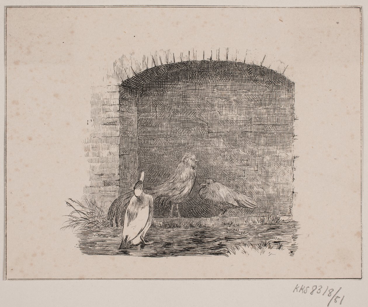 Las gallinas y los patos de Johan Adolph Kittendorff