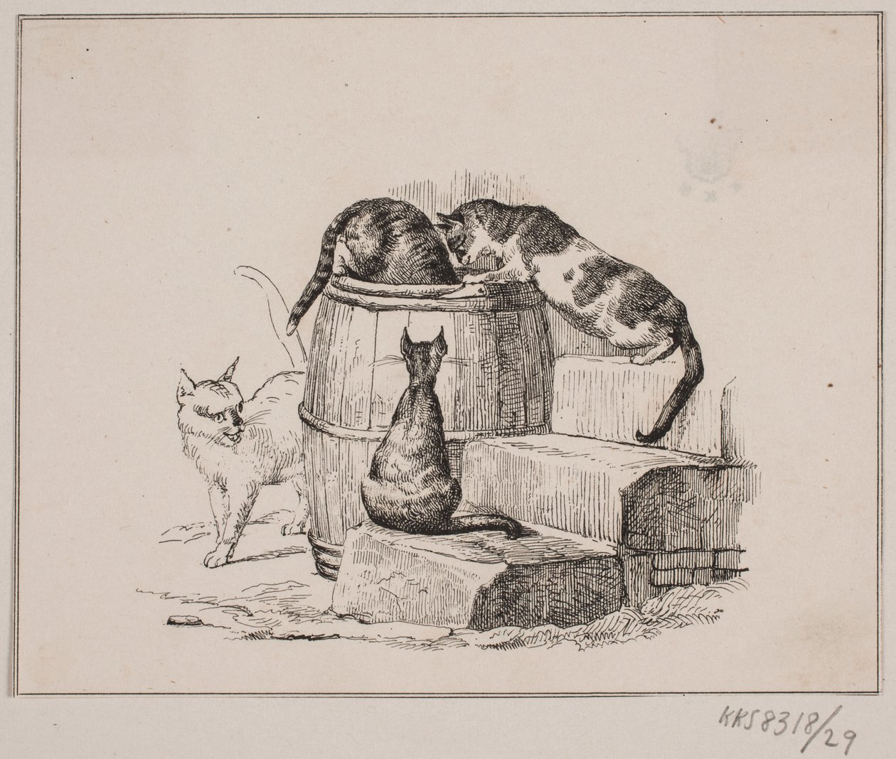 Los gatos de Johan Adolph Kittendorff