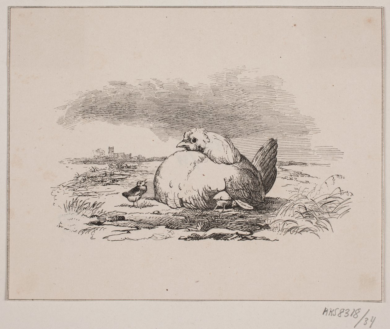 Los pollitos de Johan Adolph Kittendorff