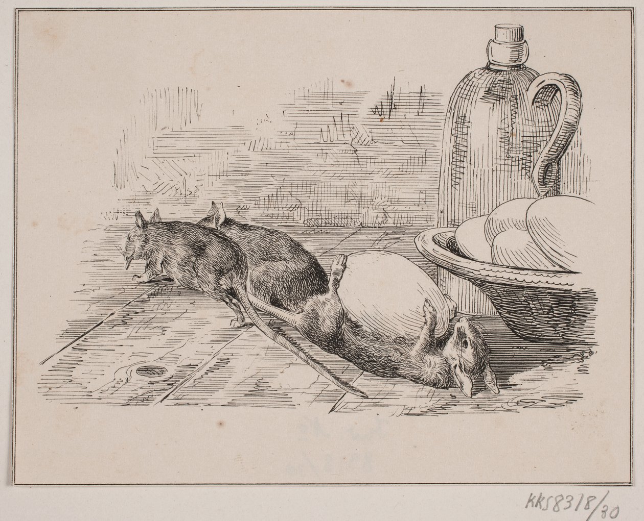 Las ratas de Johan Adolph Kittendorff