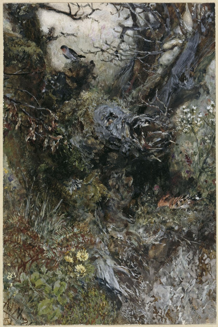Tocón de árbol con petirrojo y abubilla. Del «Álbum infantil» de Adolph Menzel