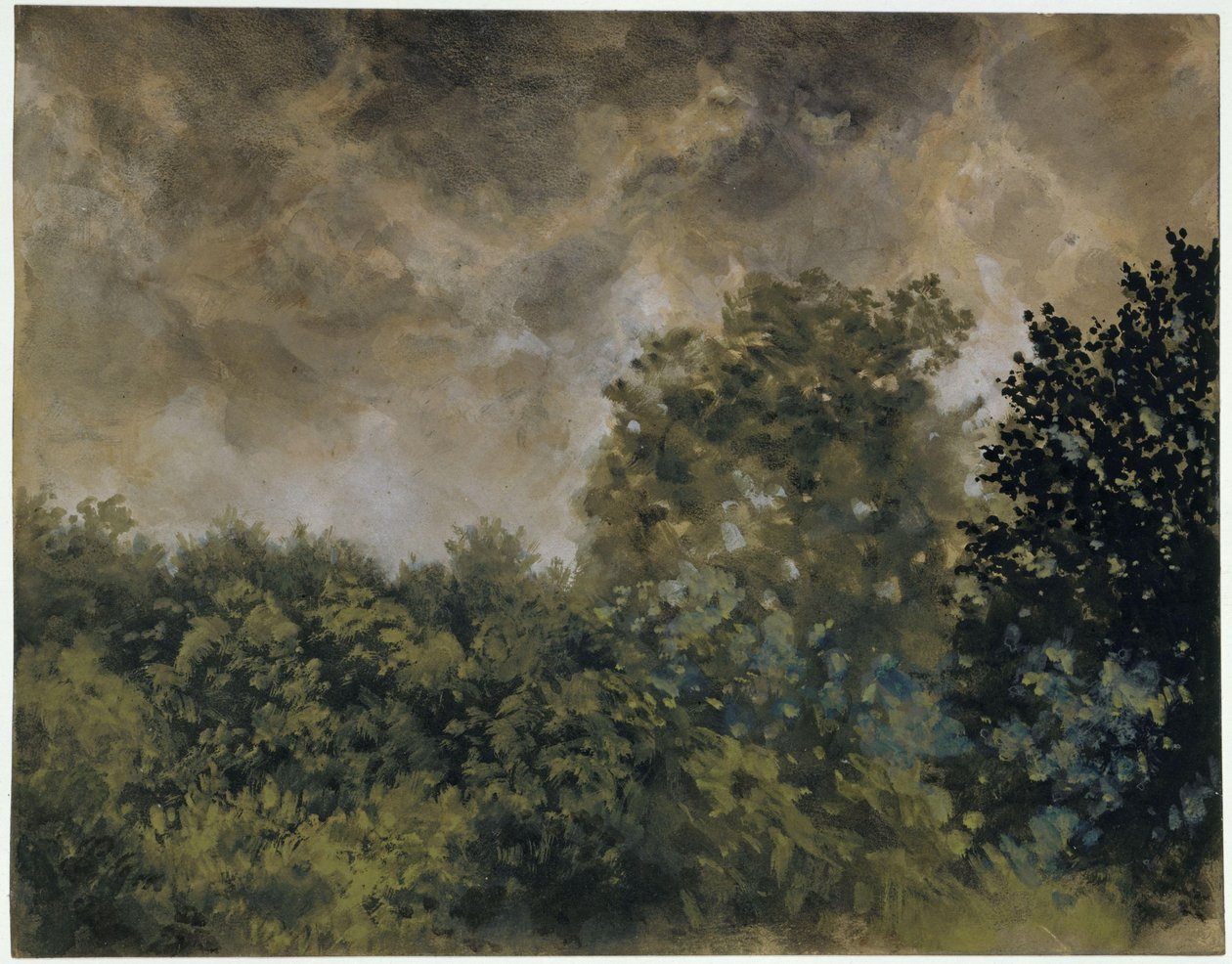 Vista de un bosque de hoja caduca de Adolph Menzel