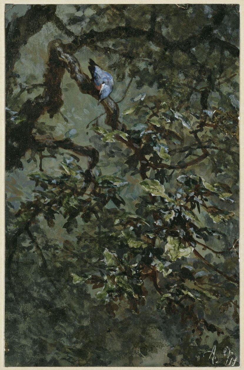 El pájaro carpintero azul en el follaje. Del "Álbum infantil" de Adolph Menzel