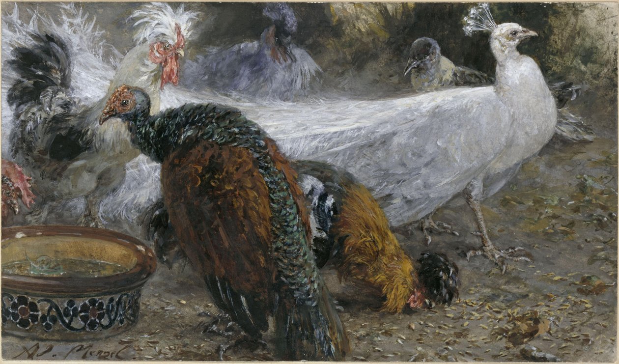 El pavo real blanco con la pavita y las gallinas. Del «Álbum infantil» de Adolph Menzel