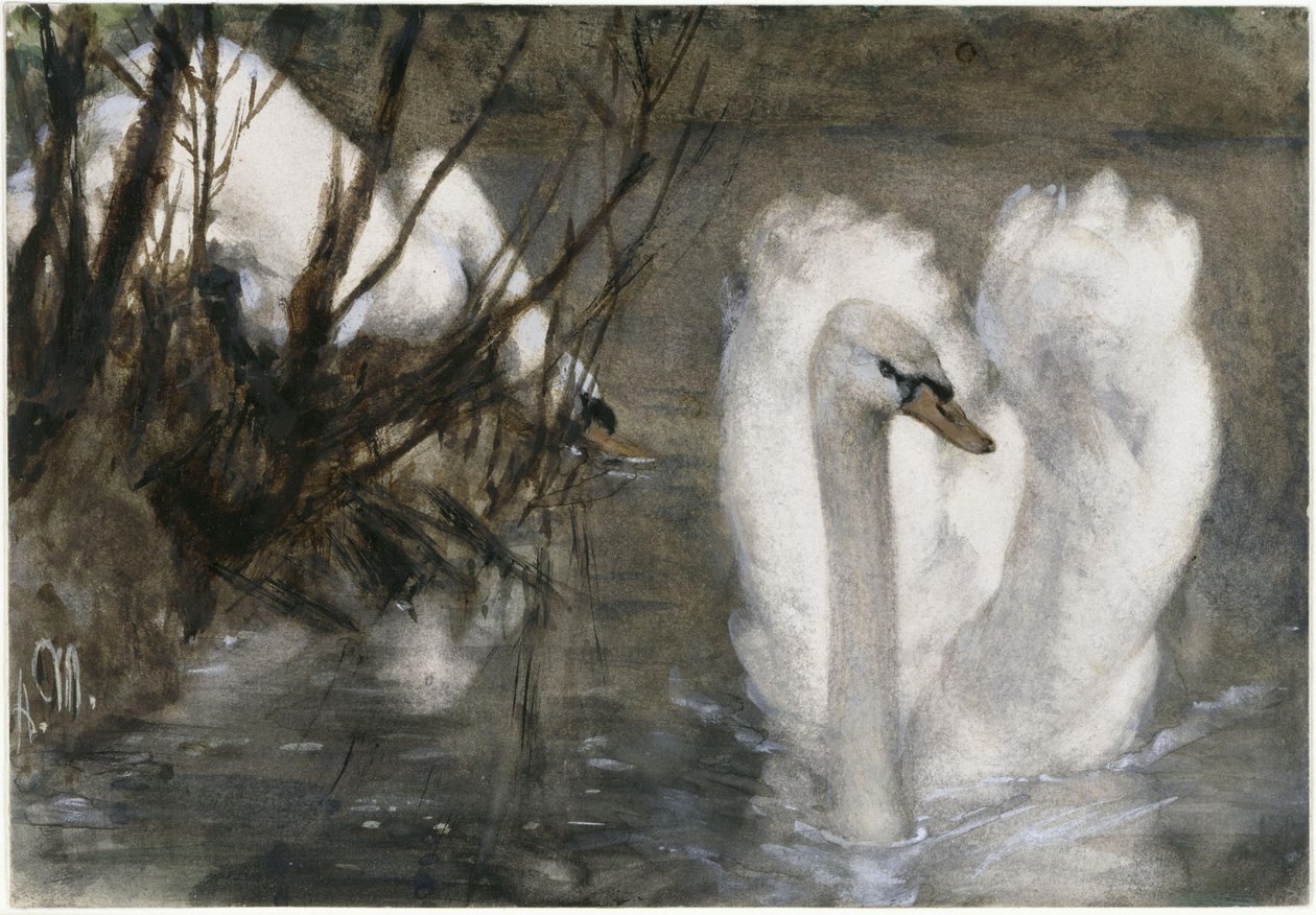 Los dos cisnes. Del «Álbum infantil» de Adolph Menzel