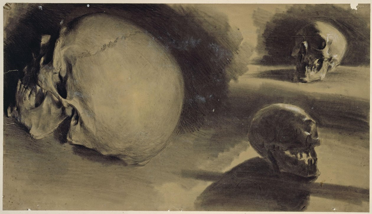 Tres vistas de un cráneo de Adolph Menzel