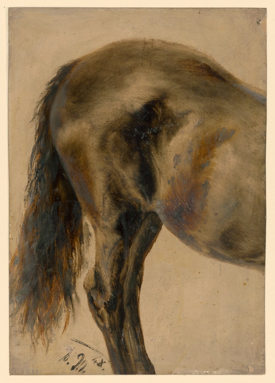 La parte trasera de un caballo vista de perfil de Adolph Menzel