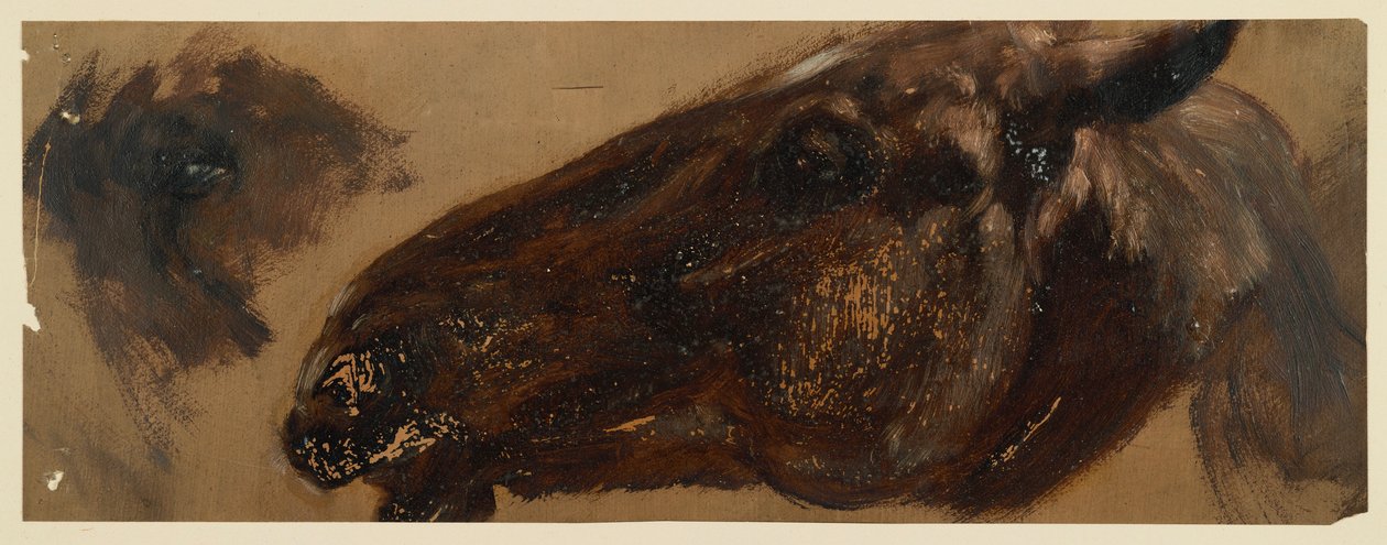 Cabeza de un caballo mirando hacia la izquierda, con la zona de los ojos repetida de Adolph Menzel