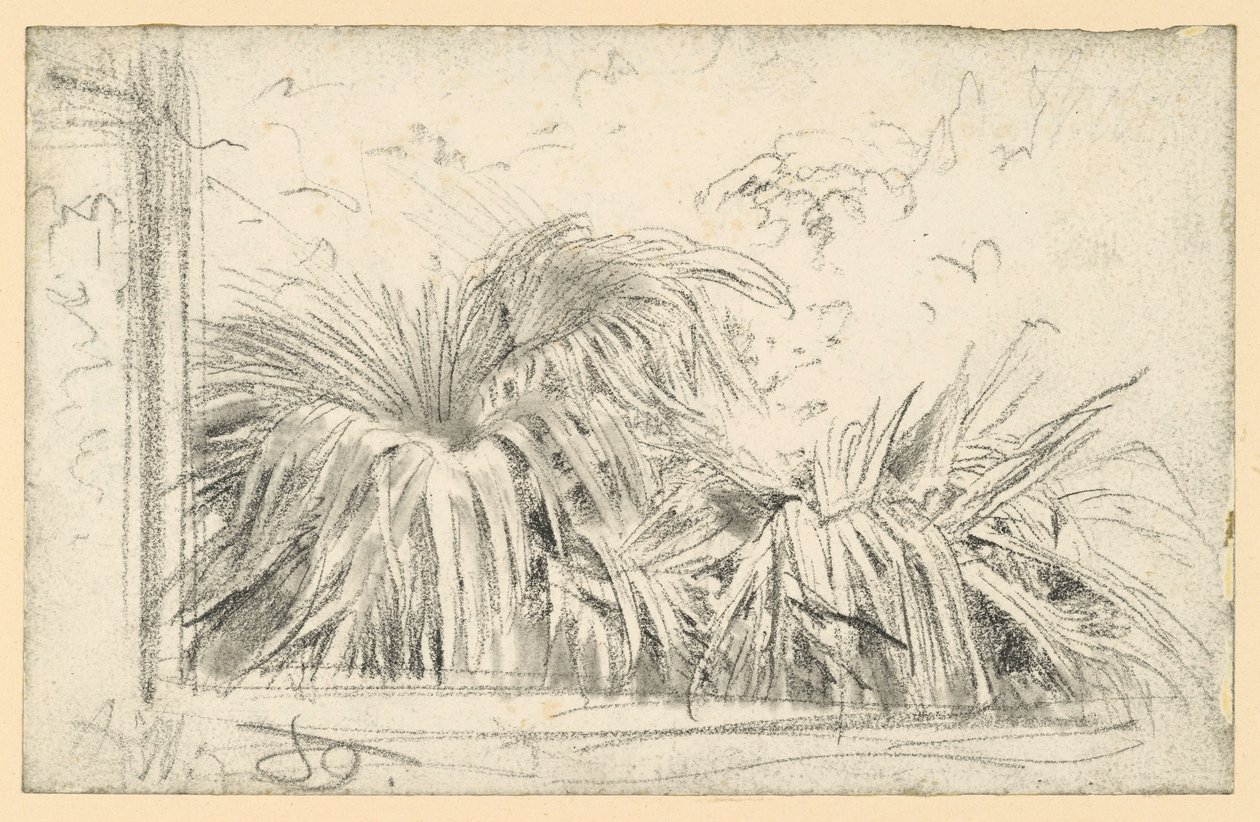 Ramilletes de palmera en el marco de la ventana de Adolph Menzel