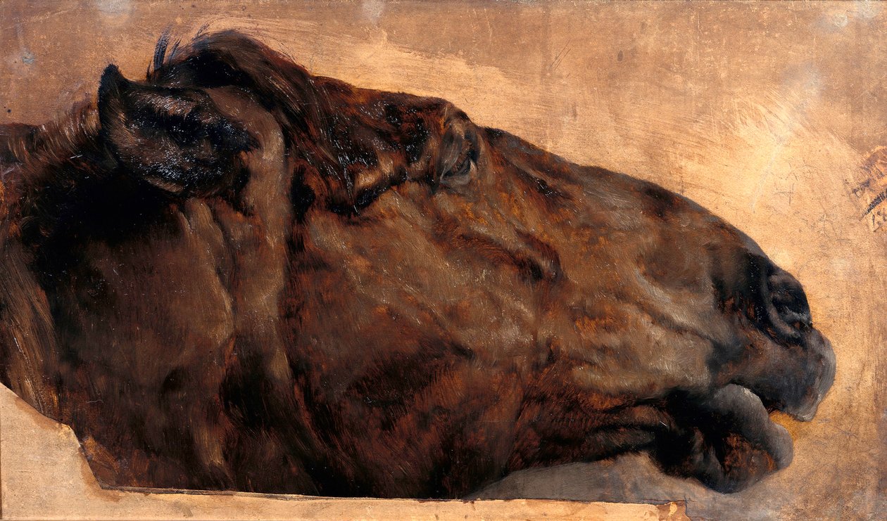 Estudio de un caballo. Cabeza vista de perfil hacia la derecha de Adolph Menzel