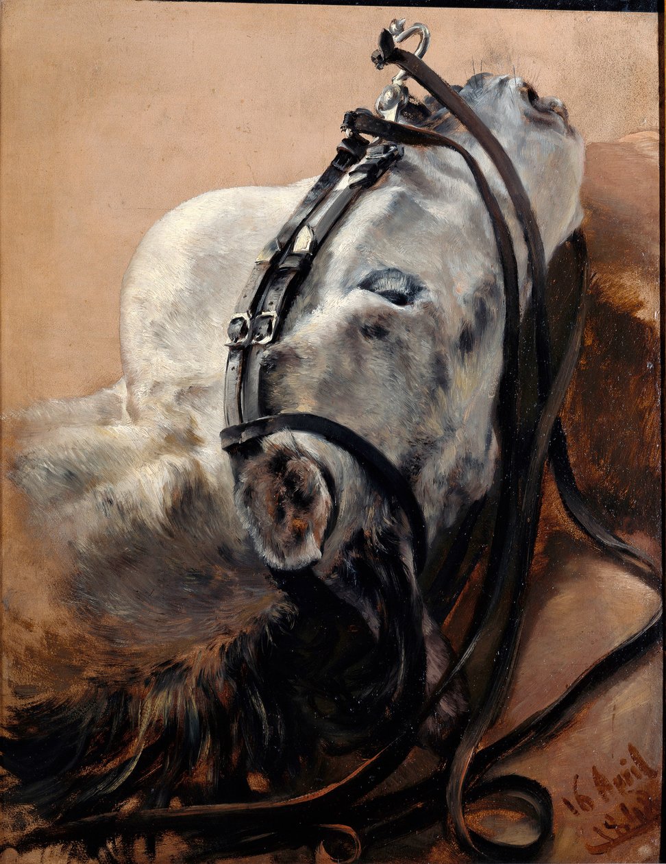 Estudio de un caballo. Con la cabeza echada hacia un lado, con el arnés puesto de Adolph Menzel