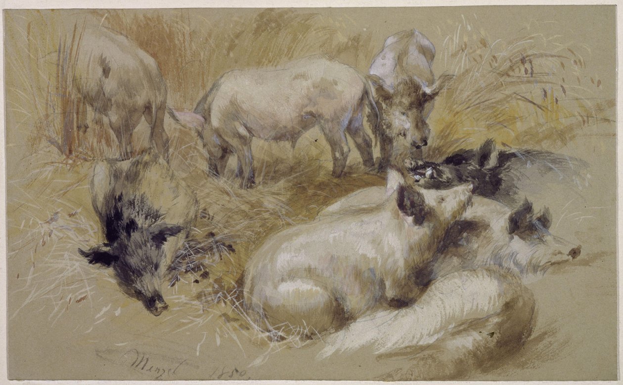 Cerdos en un campo de trigo de Adolph Menzel