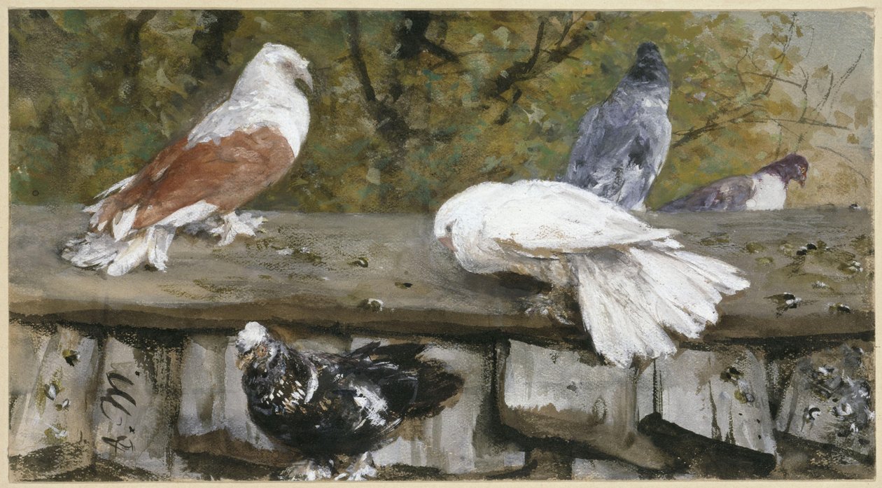 Palomas sobre un tejado de madera. Del «Álbum infantil» de Adolph Menzel