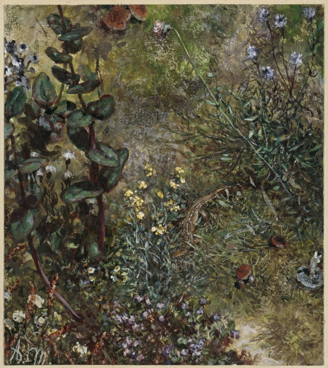 El suelo del bosque con la lagartija. Del «Álbum infantil» de Adolph Menzel